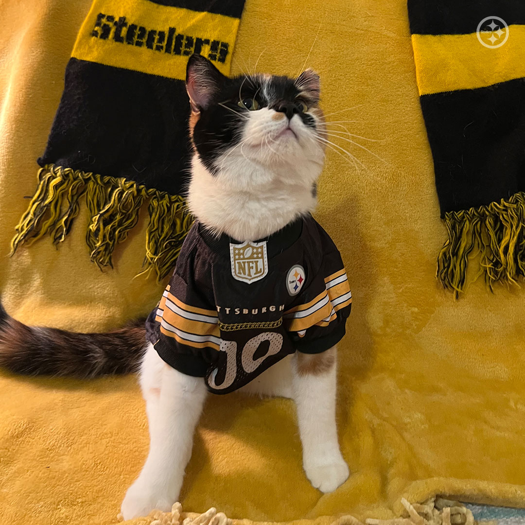 Pittsburgh Steelers tweet media