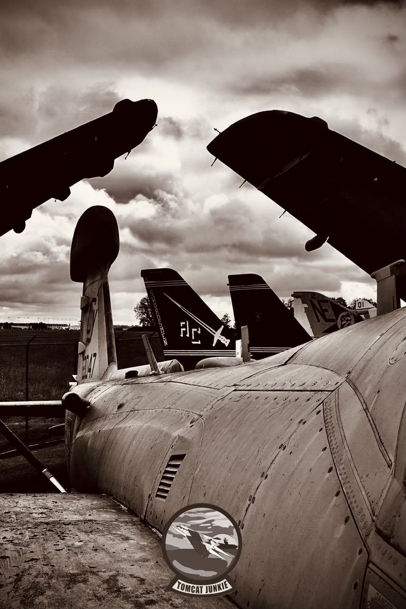 TomcatJunkie🏴‍☠️ tweet media