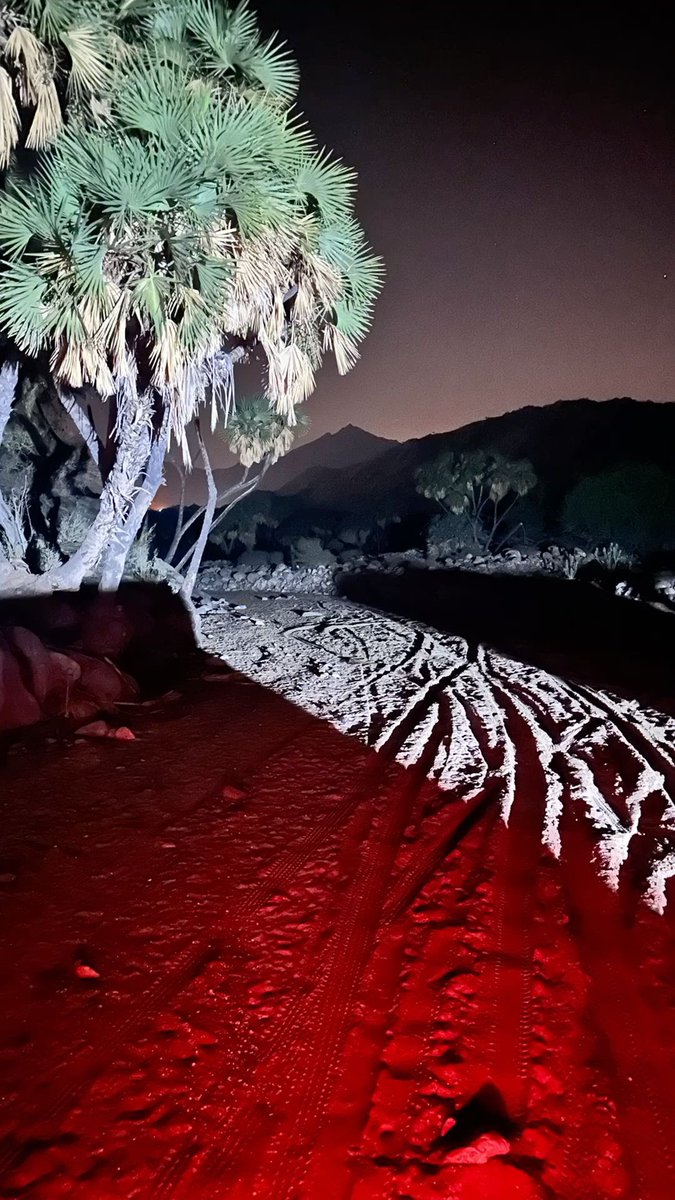 عزيز قوم tweet media