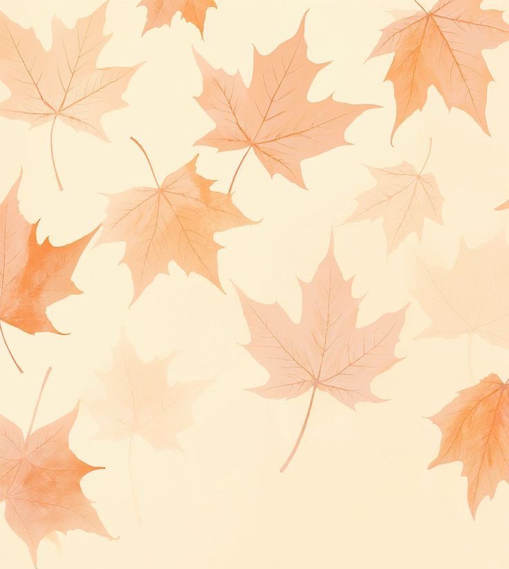 RAE 🍁🦐ིྀ tweet media