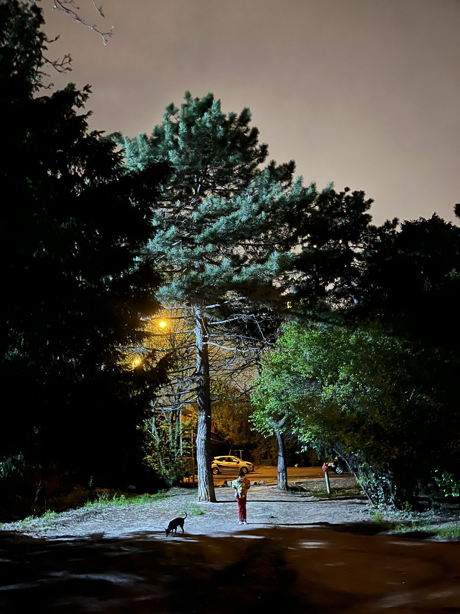 goranpandza's tweet image. Me and my buddy Ilija are exploring Zvezdara!!!✨❤️

#zvezdara #beograd #srbija #gradskabolnica #park #hospital