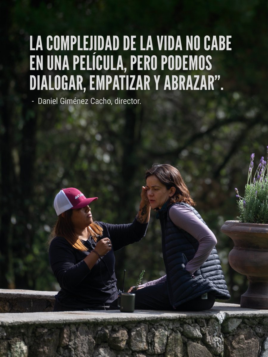 Talipot Studio tweet media