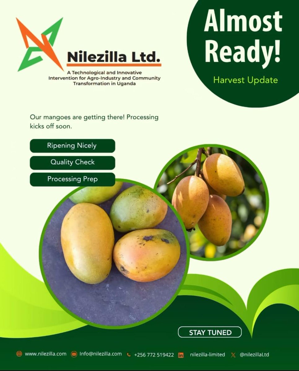Nilezilla Limited (Yumbe Fruit Factory) tweet media