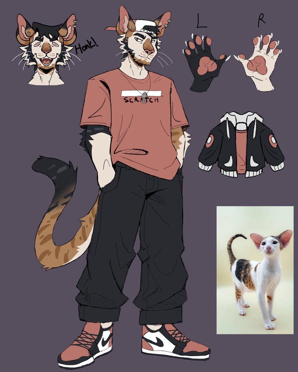 T1ger! 🐯 tweet media