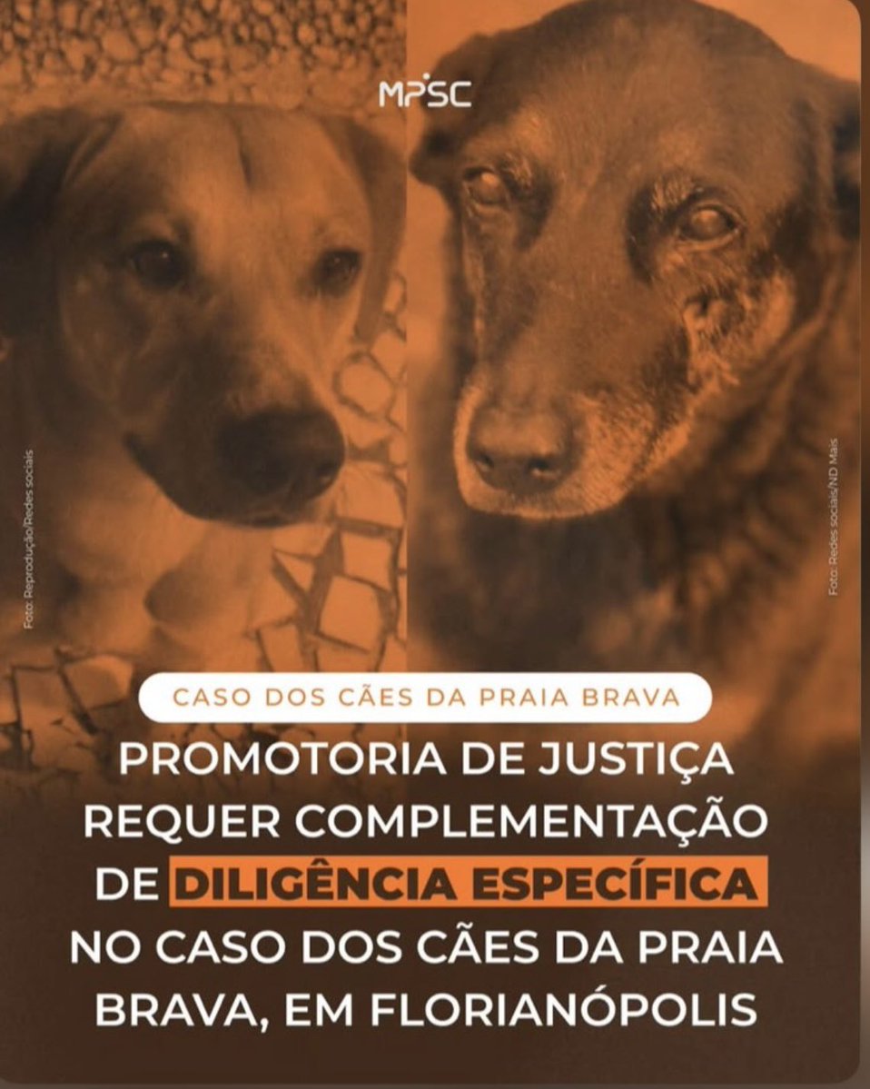 Marco Valverde ® tweet media