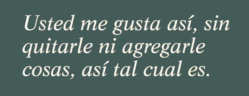 ℓυ 🦝 tweet media