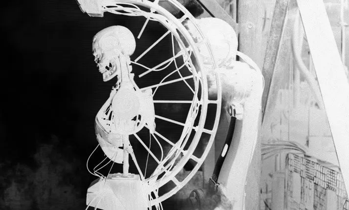 Apheos ☦︎ tweet media