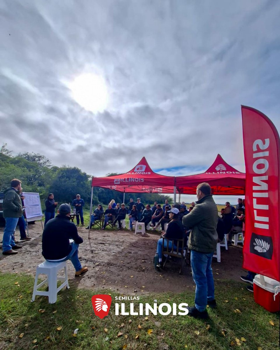 Semillas ILLINOIS tweet media