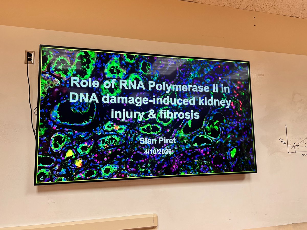 Stony Brook Department of Medicine tweet media