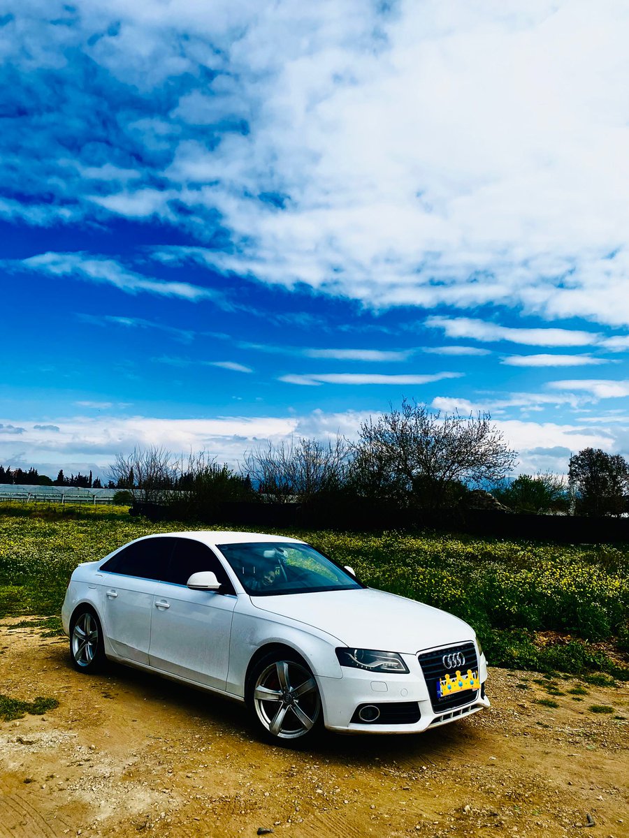 Sercankuzey tweet media