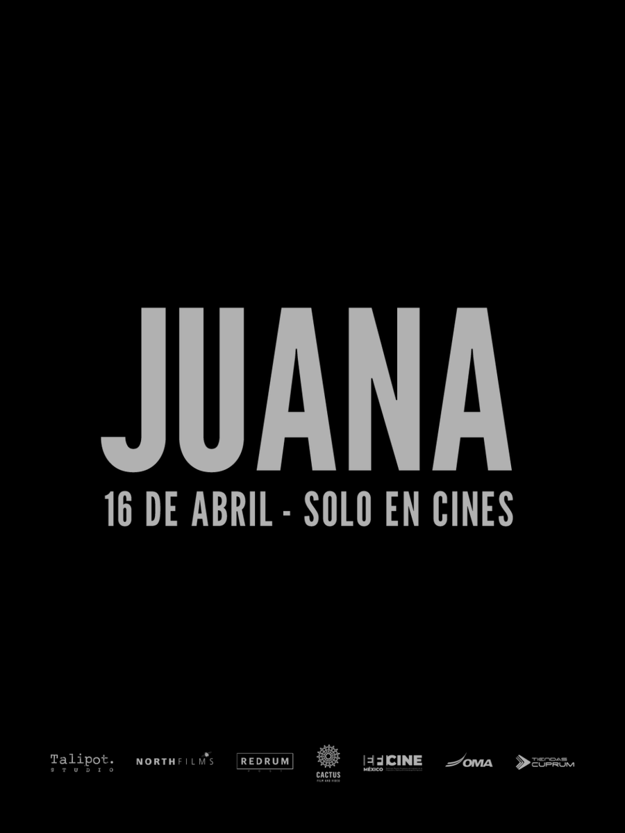 Talipot Studio tweet media