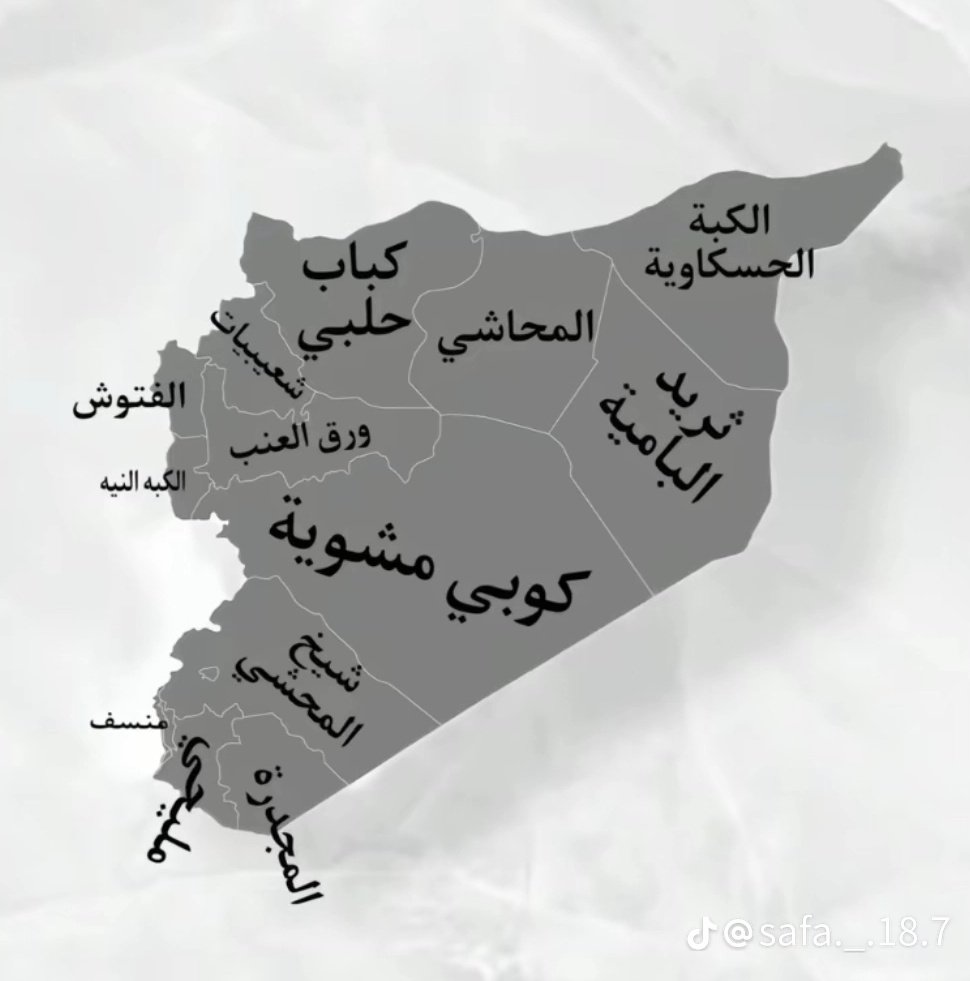 R 🇸🇾 tweet media