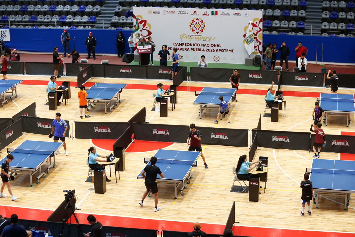 Foro21.mx tweet media