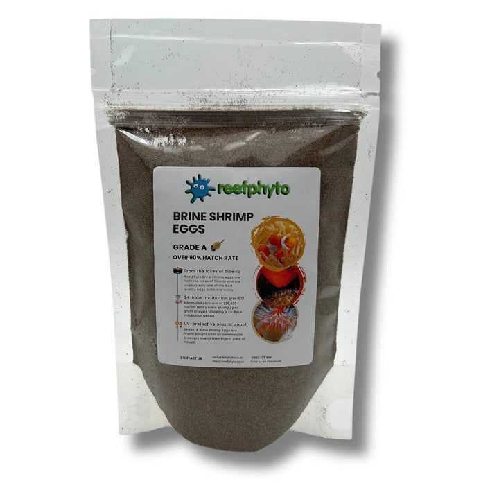 Reefphyto's tweet photo. Frozen brine shrimp sink. Live brine shrimp swim.
Hatching your own takes 24 hours, costs pence, and triggers a feeding response that no frozen food can match.
New step-by-step guide covers everything from eggs to enrichment. 
https://t.co/R66c8SiqTy https://t.co/b7HyLumlgH