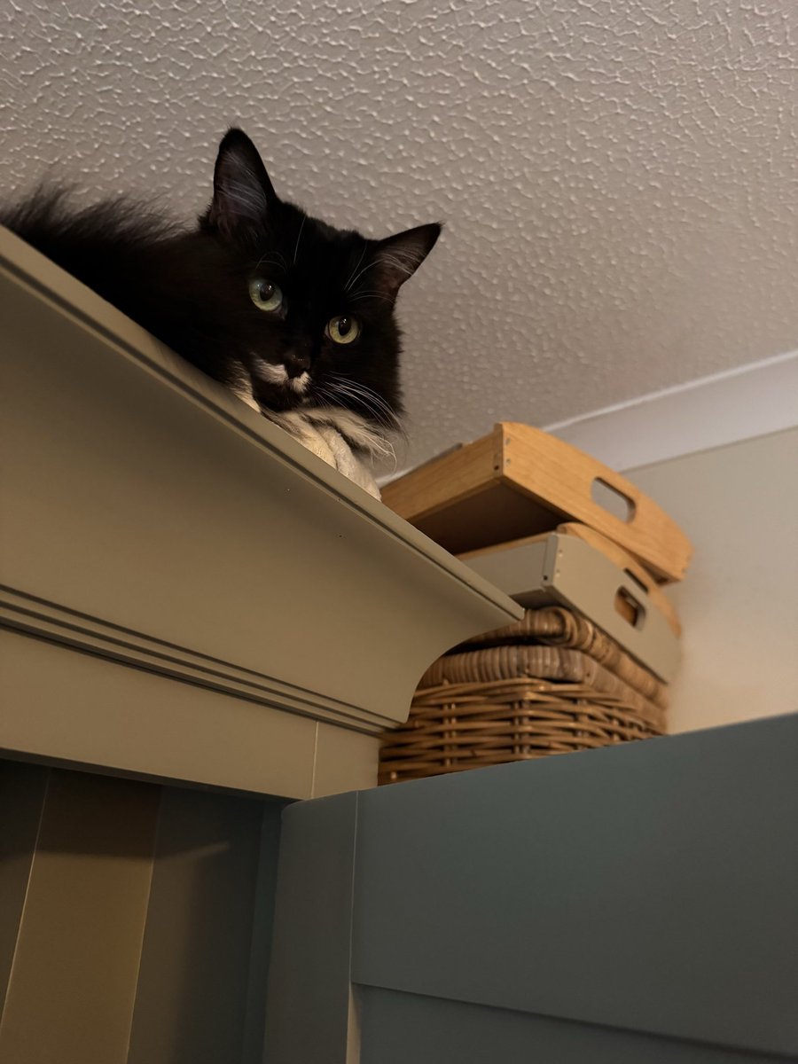 Timandra Dyer tweet media