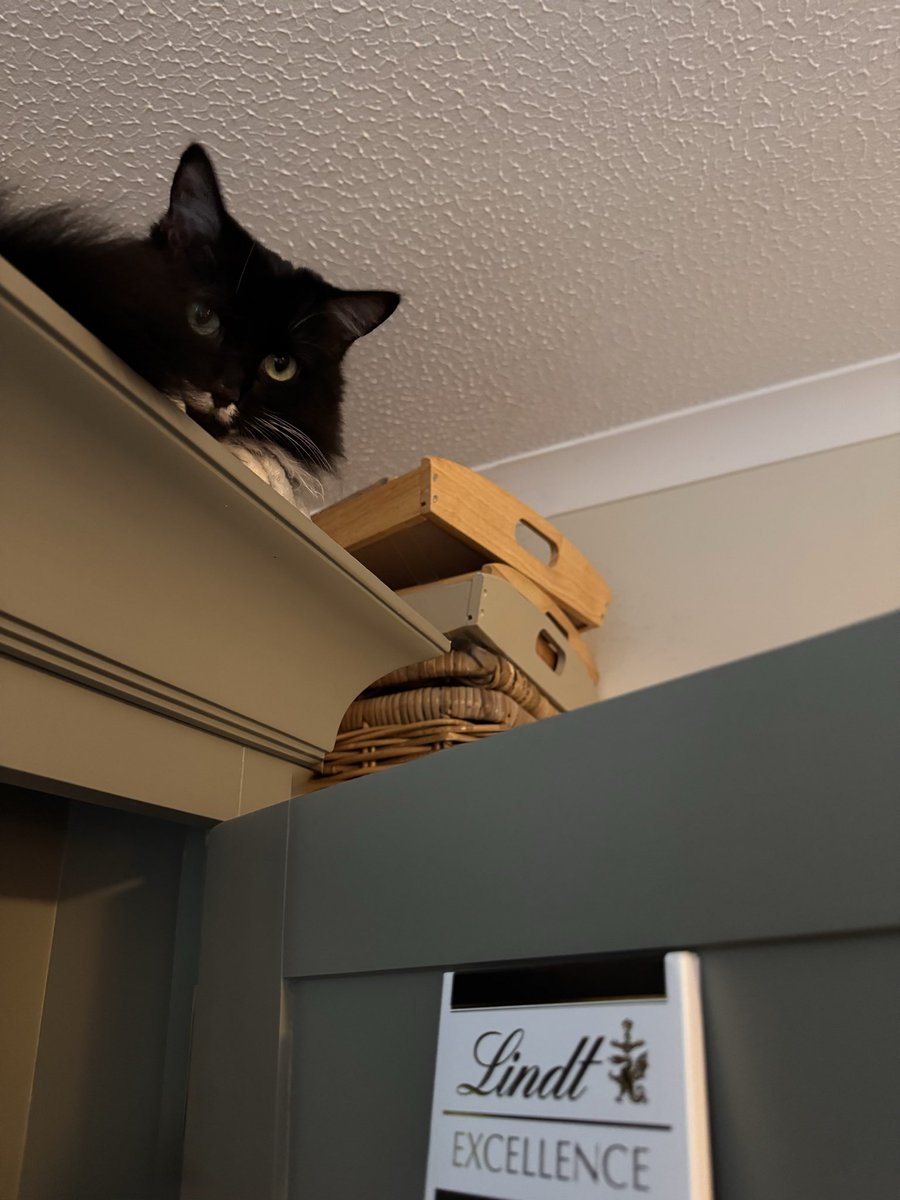 Timandra Dyer tweet media