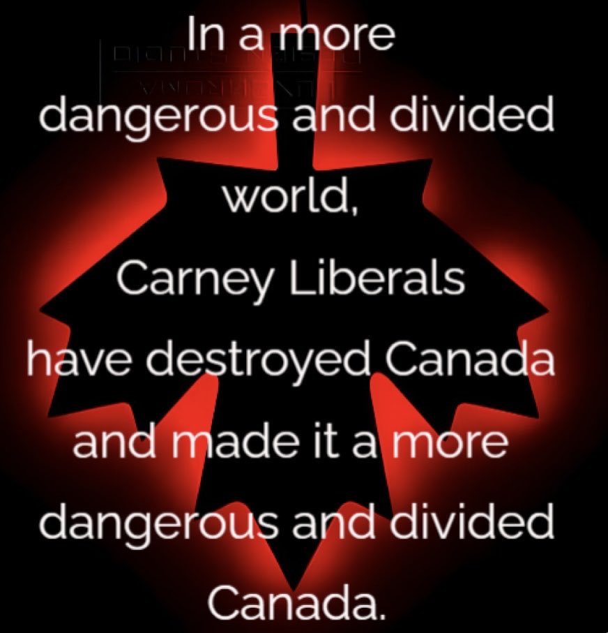 Great Canadian Moose tweet media