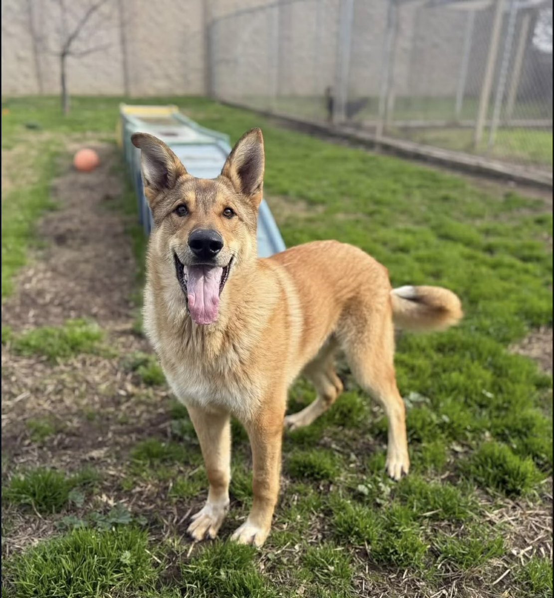 Christie McKiernan tweet media