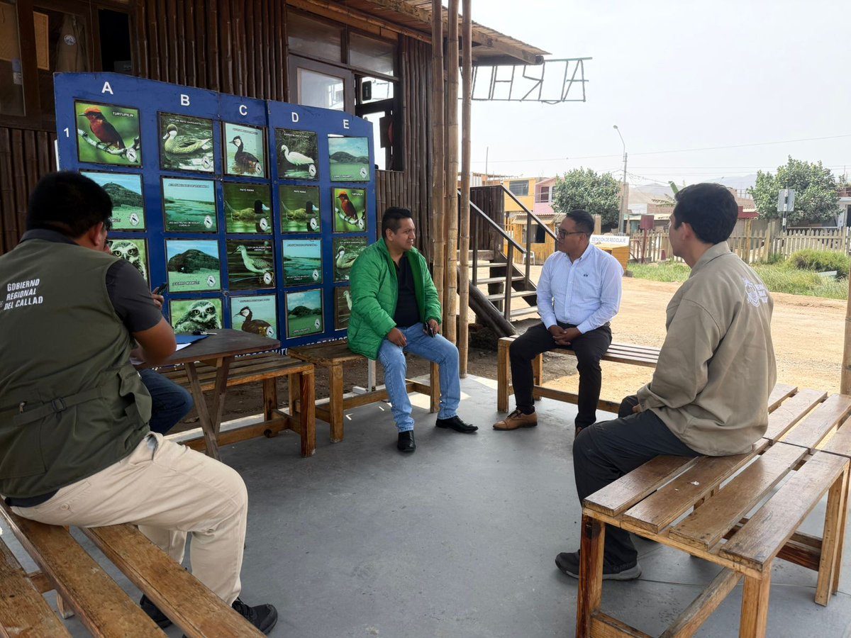 Consejo Regional Callao tweet media