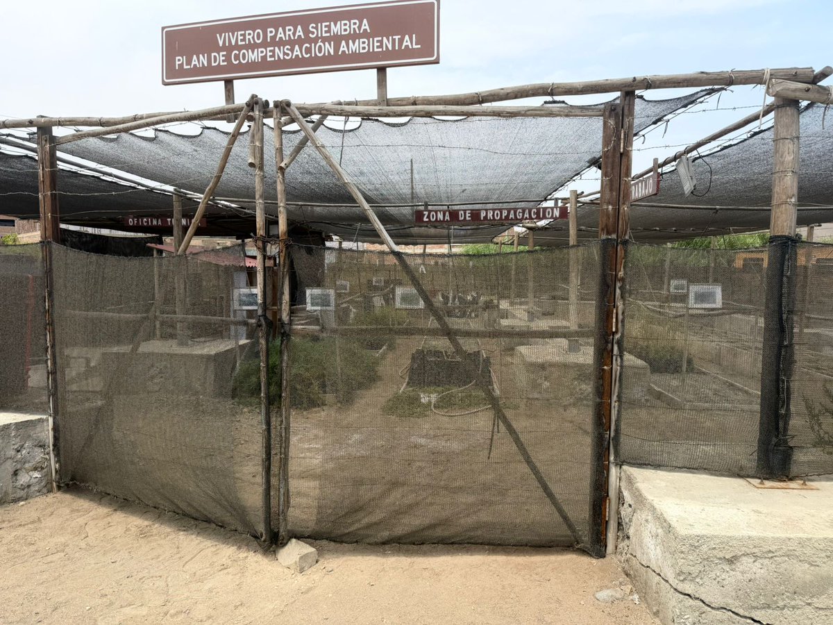 Consejo Regional Callao tweet media