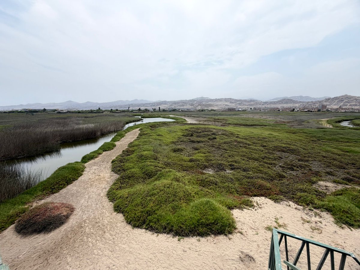 Consejo Regional Callao tweet media