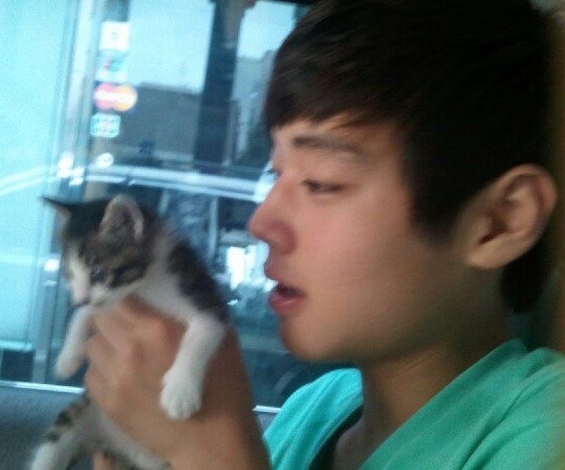 jihooncoded's tweet photo. shse where sieun owns a cat cafe.. suho comes in one day and doesn’t even look at a single cat cause he’s too busy trying to get sieun’s attention https://t.co/x4BfU9FR8Y