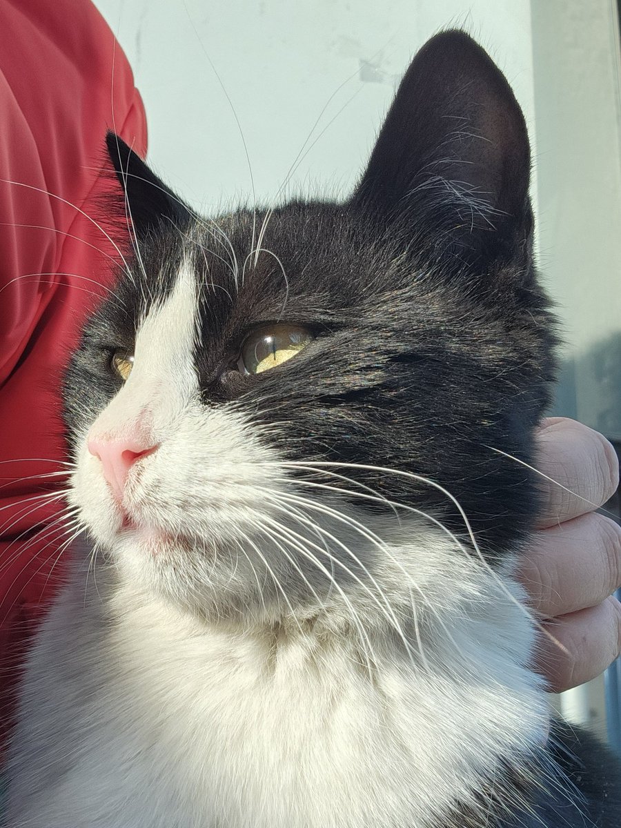 Hepinizi Döverim tweet media