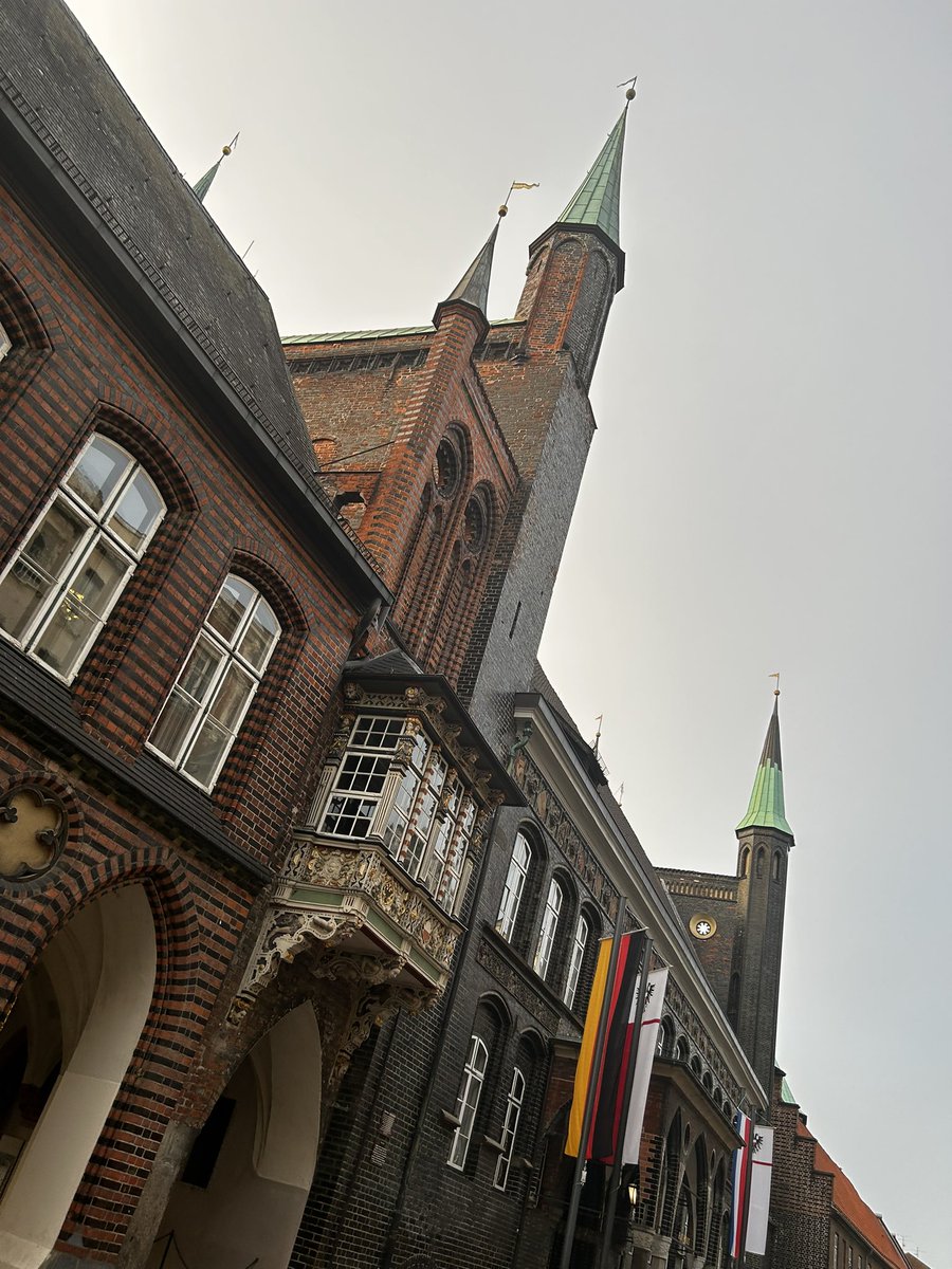 سامی 🦁☀️ tweet media