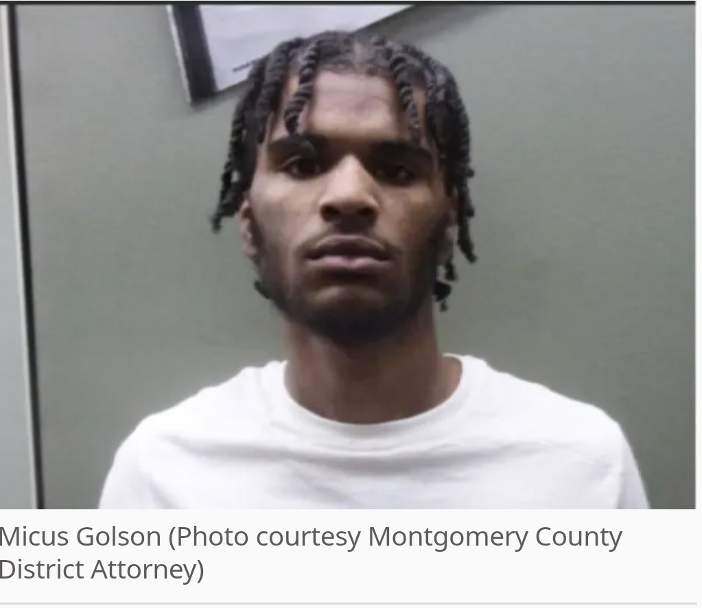 Eat the Bugs tweet media