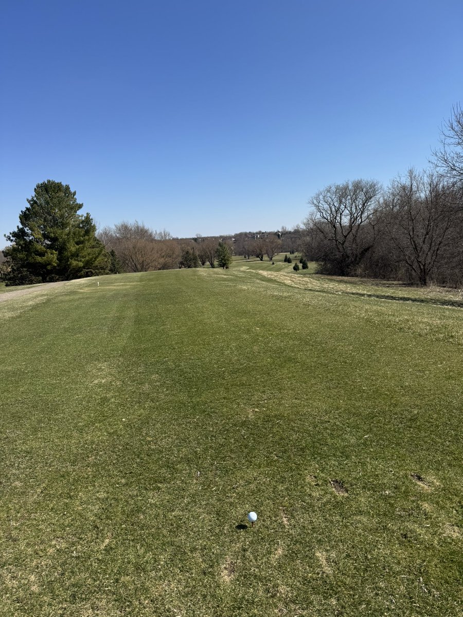Mitch - CGS ⛳️ tweet media