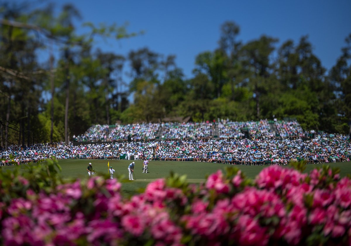 The Masters tweet media