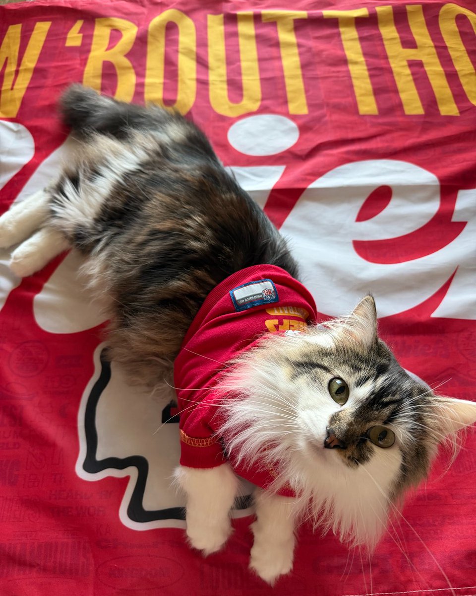 Kansas City Chiefs tweet media