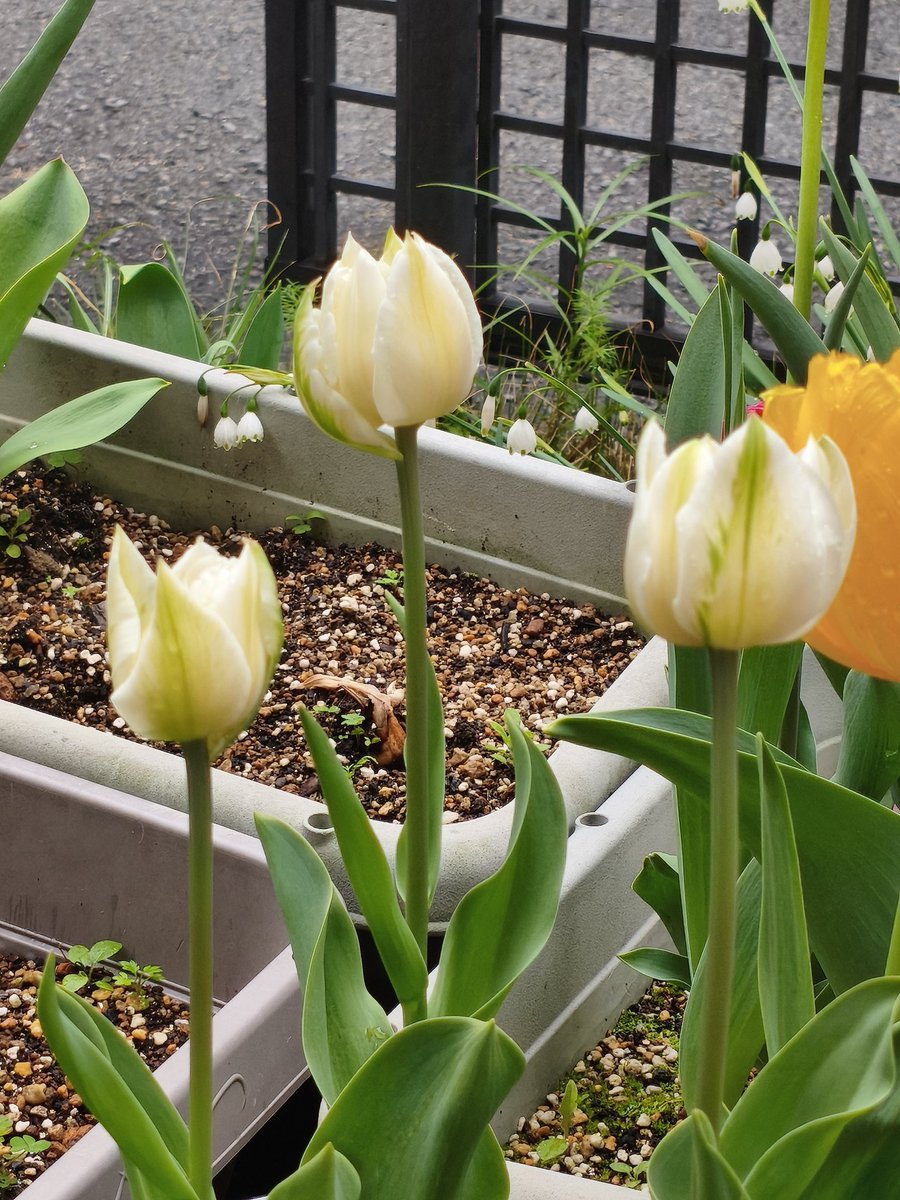 濱ちゃん🤣 tweet media