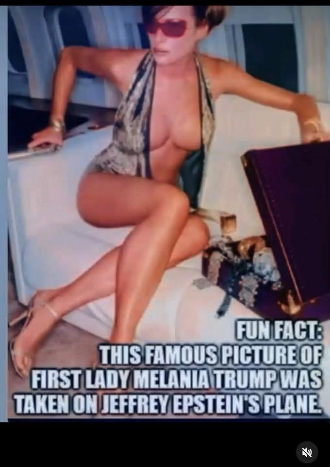 💡 Logical Hunter 🏹 tweet media