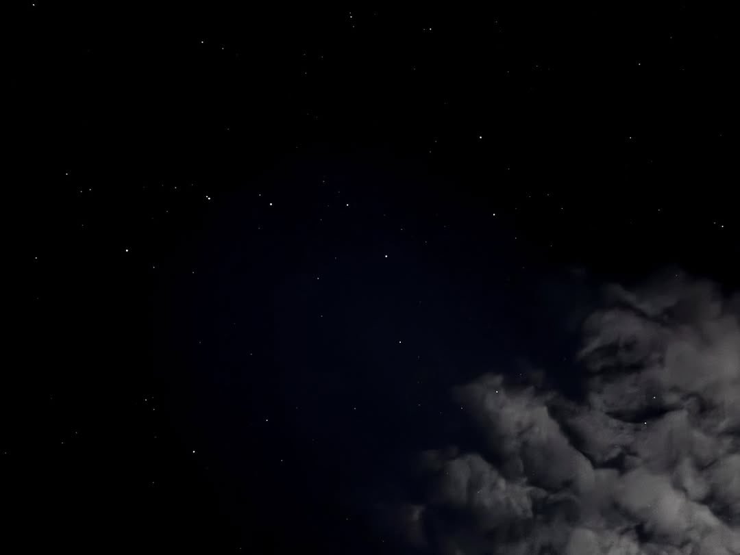 Melissa O’Neil Updates tweet media