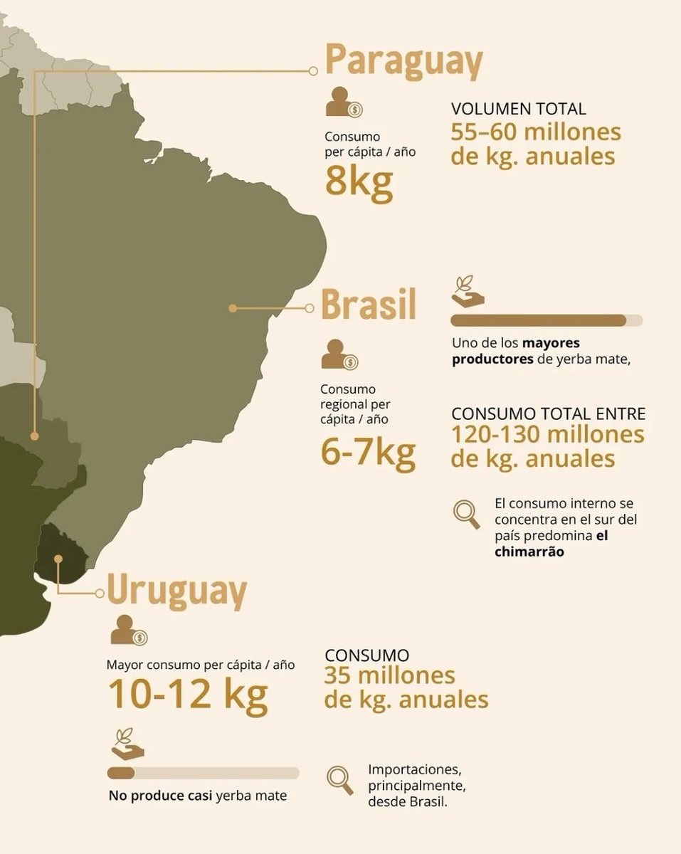 Diego🇵🇾🇮🇹 tweet media