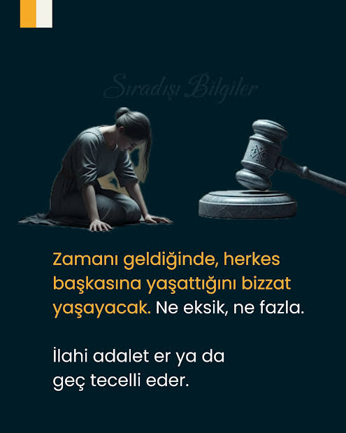 Özcan Yavuz tweet media