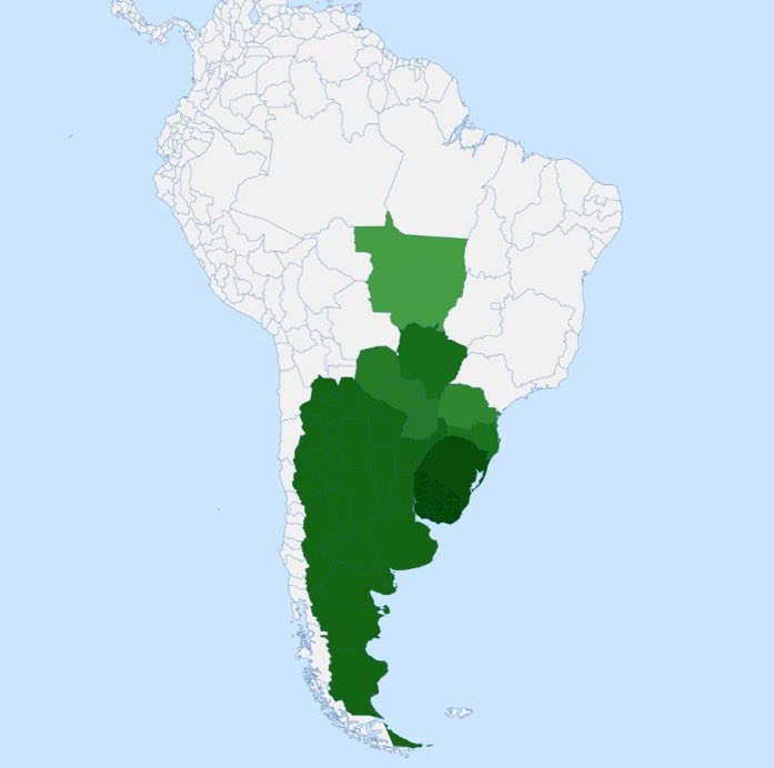 BowTiedMara tweet media