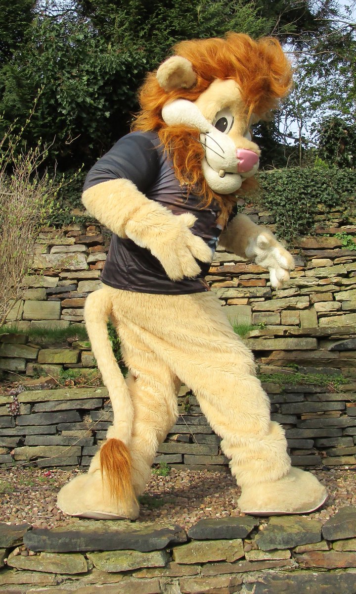 the-mascot-collector tweet media