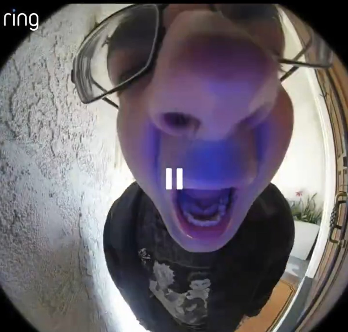 Hato|Don|Kun tweet media