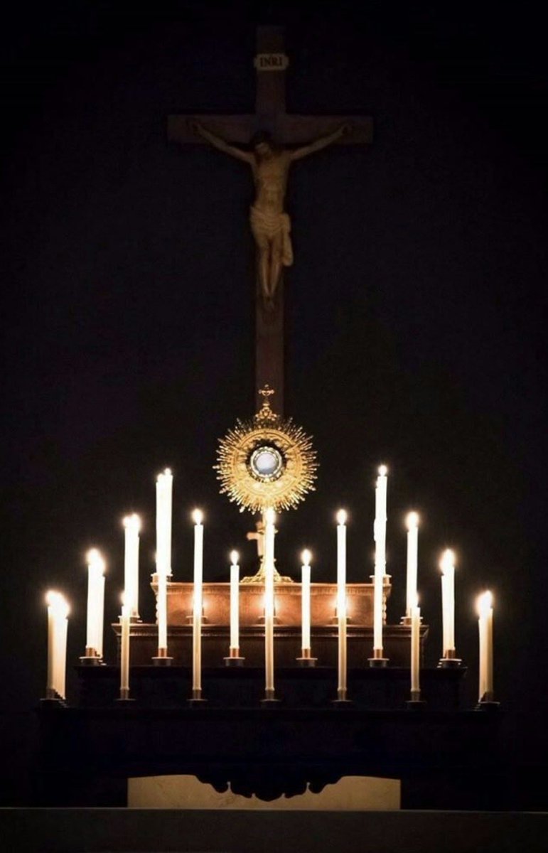 That Trad Gal tweet media