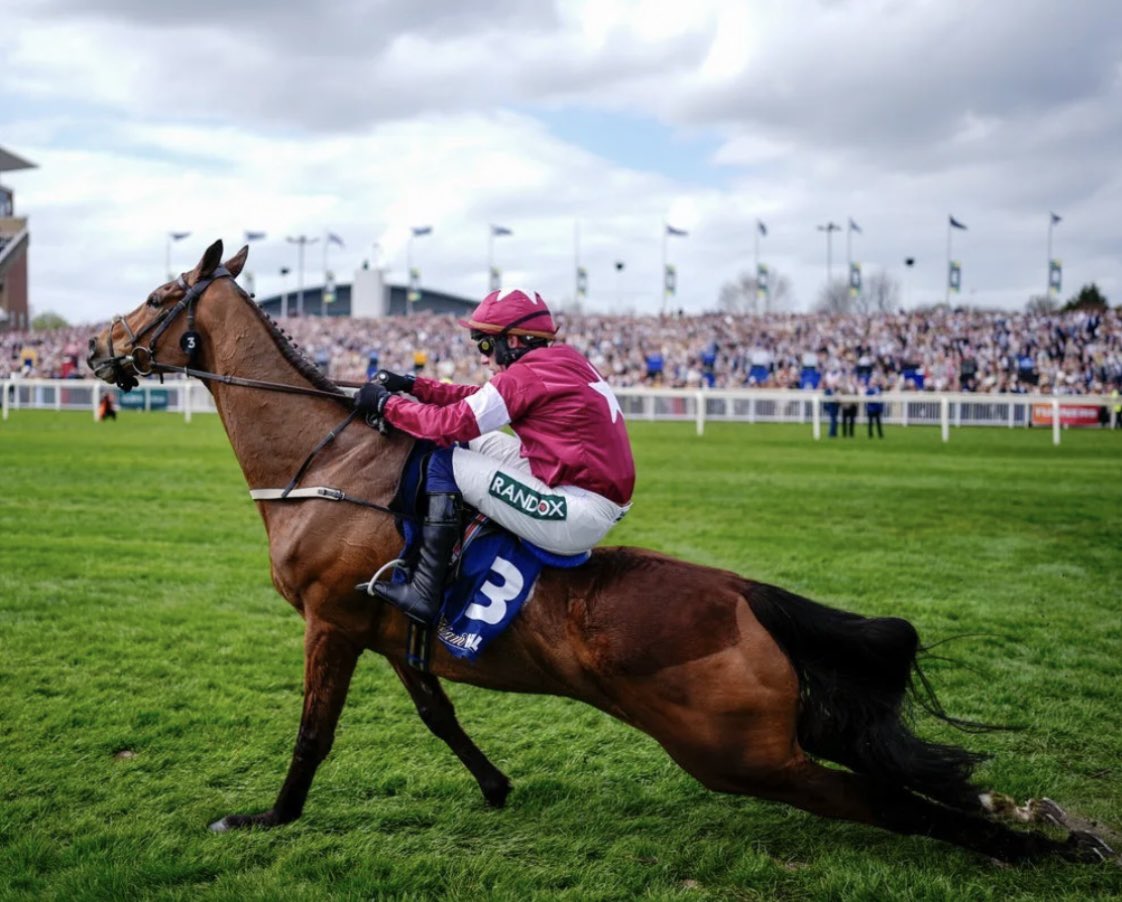 princessdaisy's tweet photo. @RandoxOfficial and @itvpresscentre paid for this horse, #GoldDancer to die in agony.
Paid for him to be whipped and forced to keep running with a BROKEN SPINE. Then shot him.
#Randox #ITV #Pain #Risk #Malpractice #Disgrace https://t.co/W5pcedIC5K