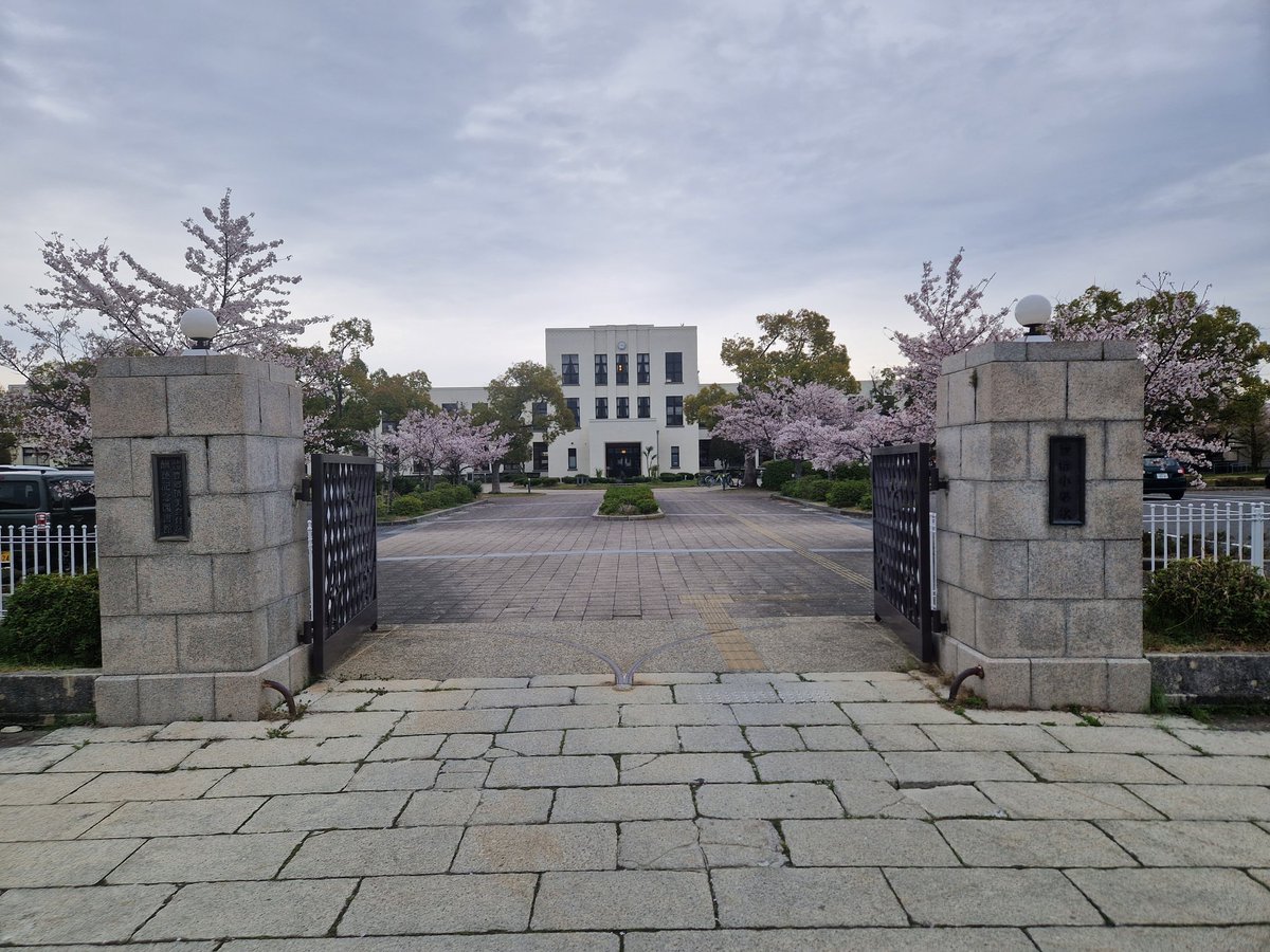 Jonpetit tweet media