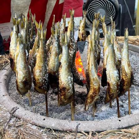 Gator Gar tweet media