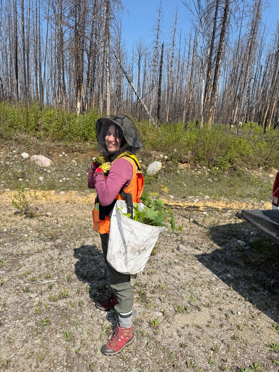 AlgomaU's tweet image. From Sault Ste. Marie to a global stage 🌍 Roxane Bergeron is representing Algoma University at the Global Soil Biodiversity Conference @gsbc2026 this week. #StudentSuccess #AlgomaU