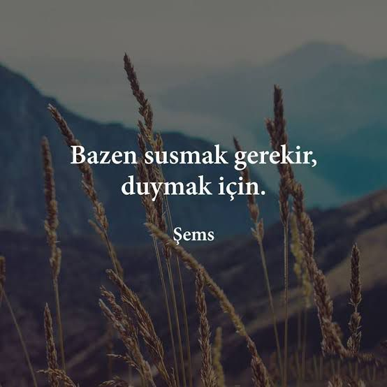 🌲🌲Nizam🌲🌲 tweet media