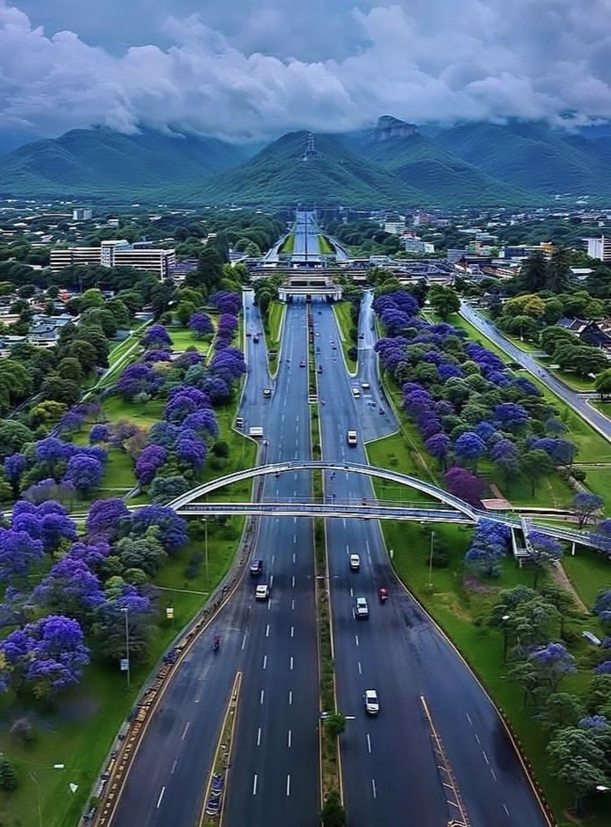 Mir Mohammad Alikhan tweet media