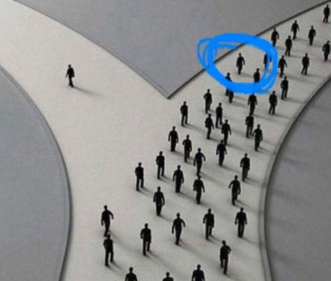 дева tweet media