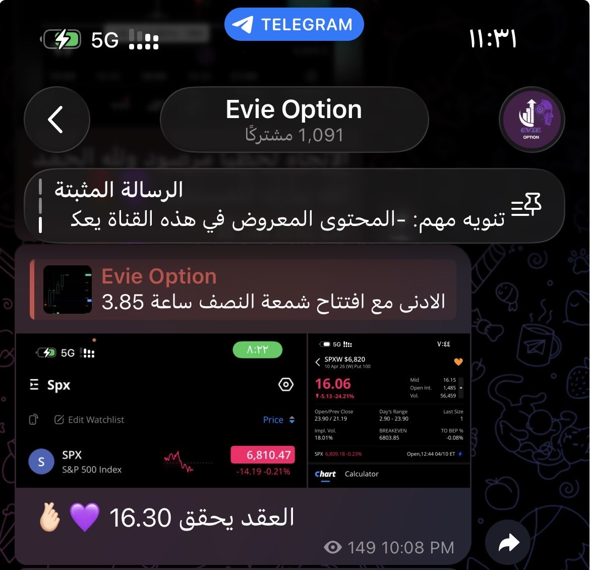 Evie Option tweet media