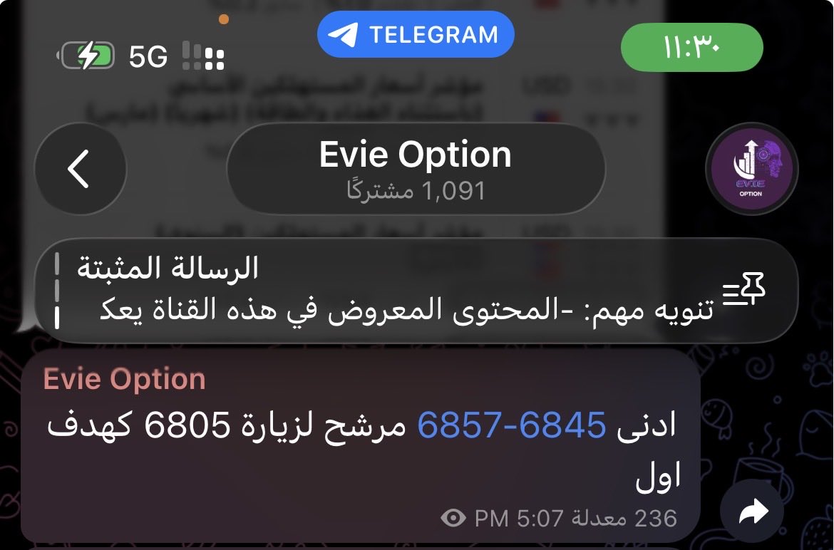 Evie Option tweet media